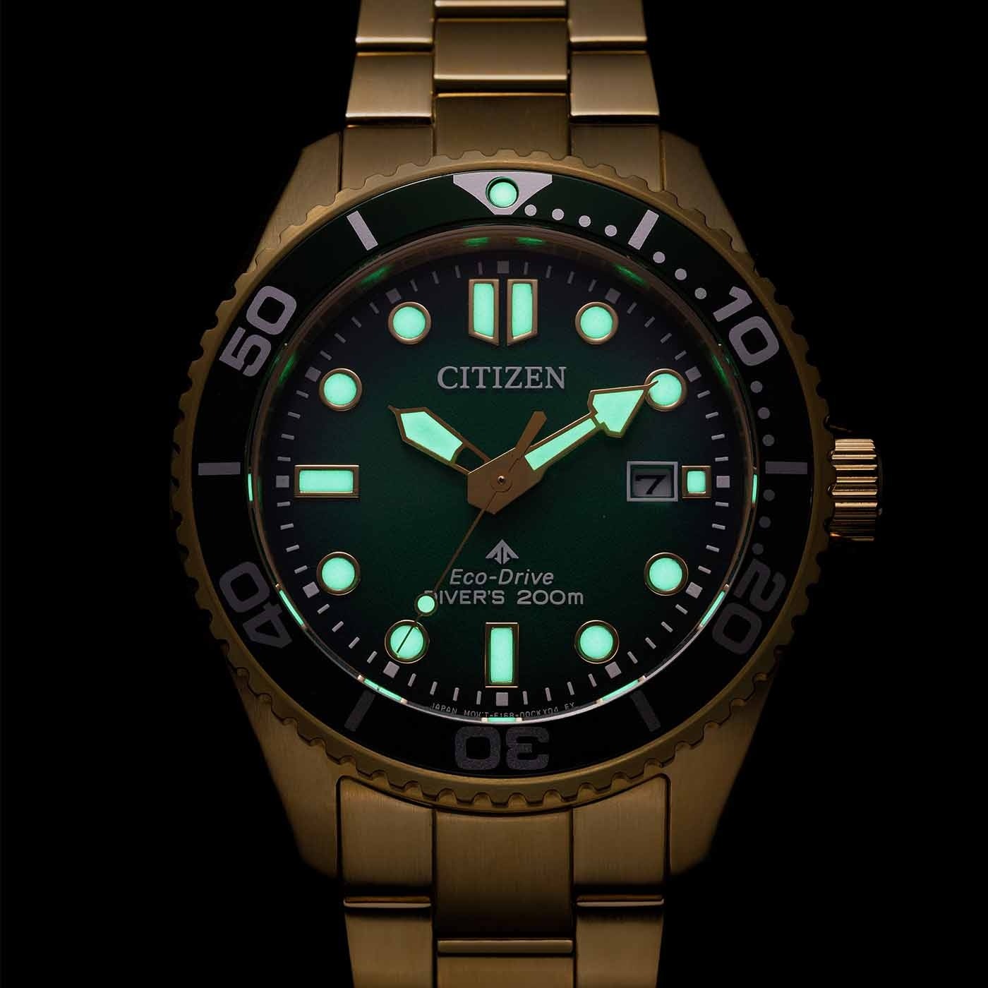 Citizen Promaster Eco-Drive Diver BN0262-59W
