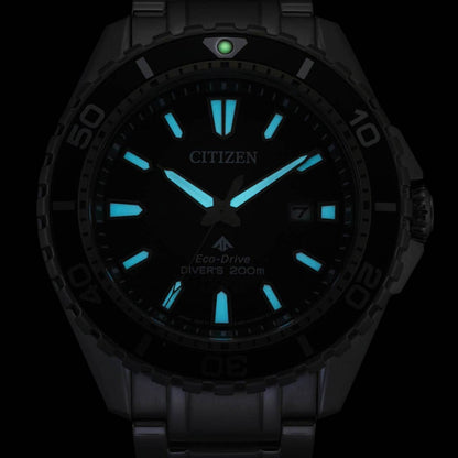 Citizen Promaster BN0199-53X